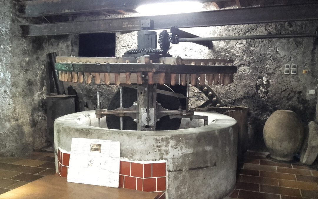 Moulin à huile communal de Tourtour