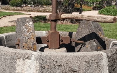 Moulin à huile et vestiges de pressoir