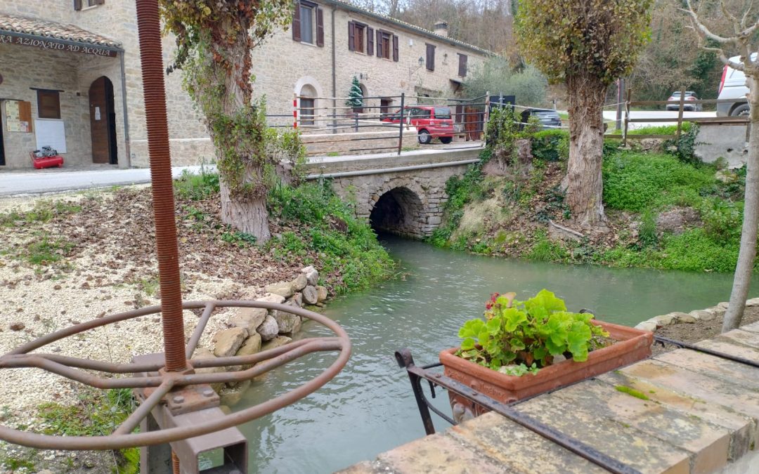 1565 Mulino Bravi