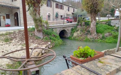 1565 Mulino Bravi