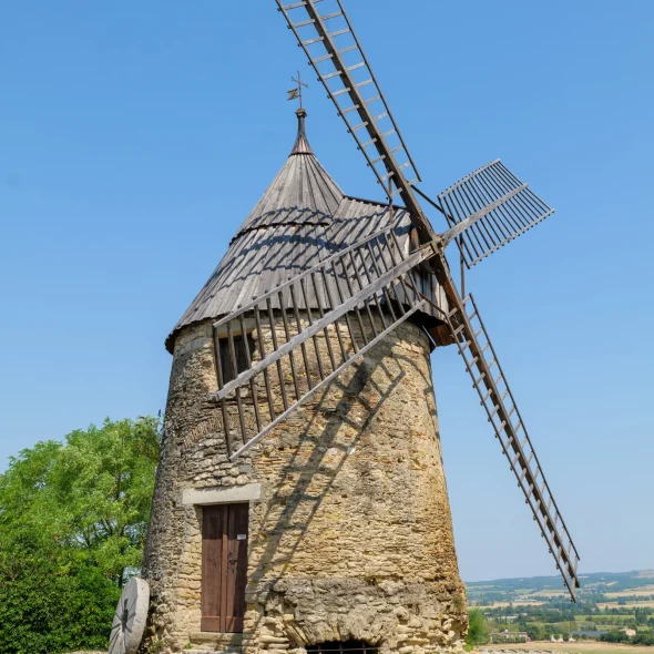 cugarel-castelnaudary-11-590×590-f50_50
