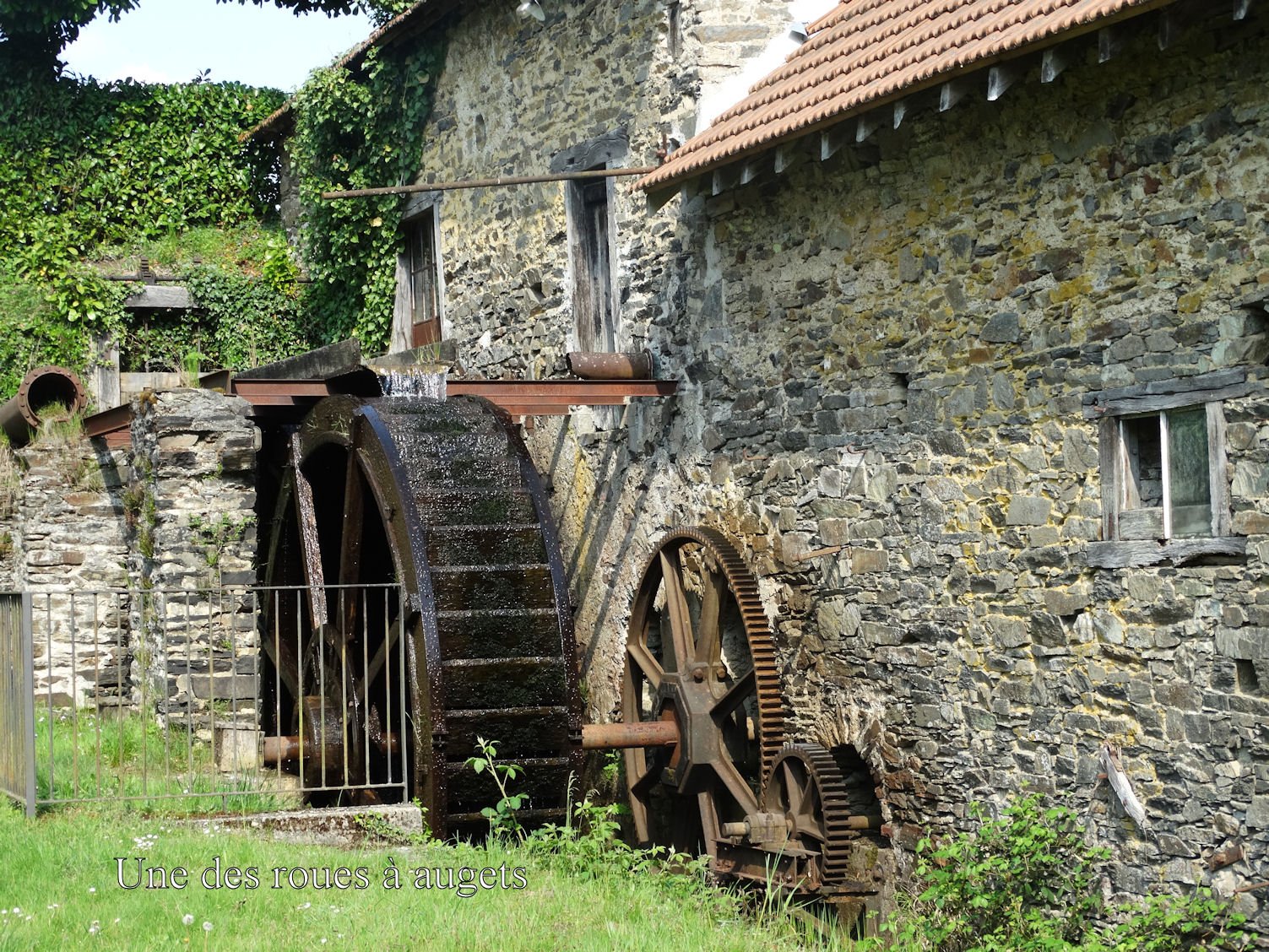 dsc00981-7fd05