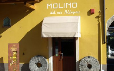 Molino Pellegrini snc