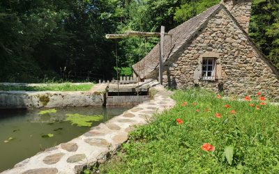 Martinets du Lézert