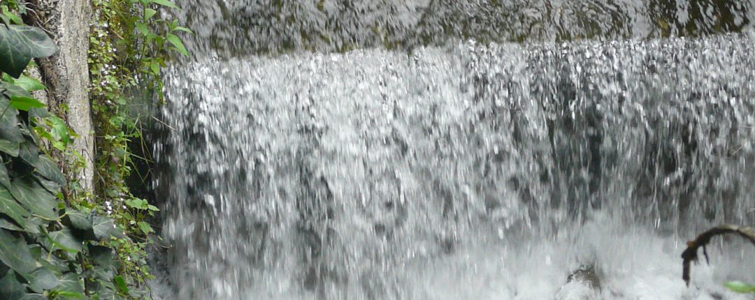 Musée du textile et du peigne en corne