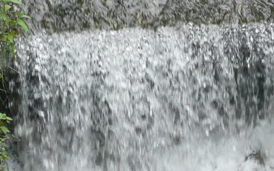 Musée du textile et du peigne en corne