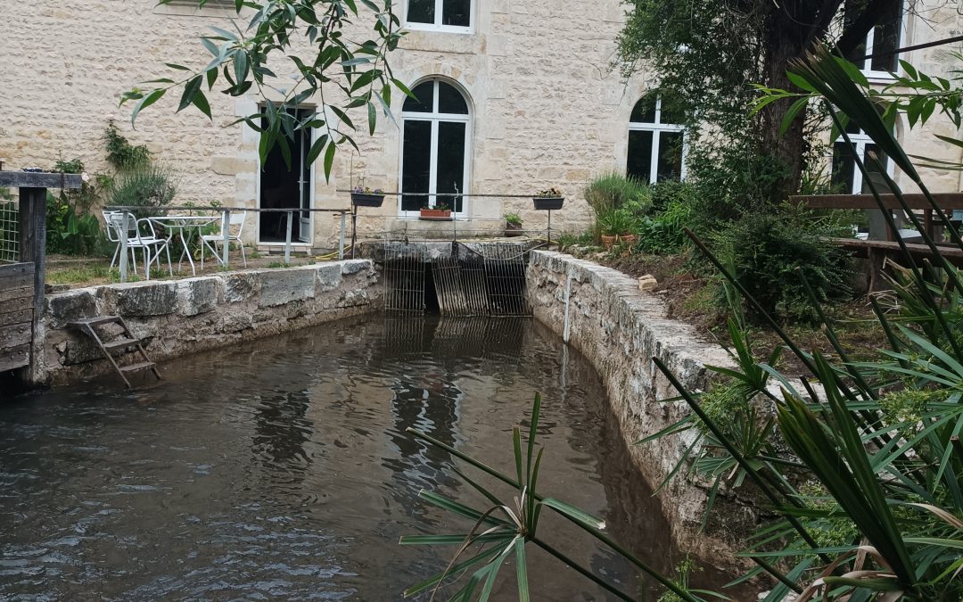 Le Moulin Vieux