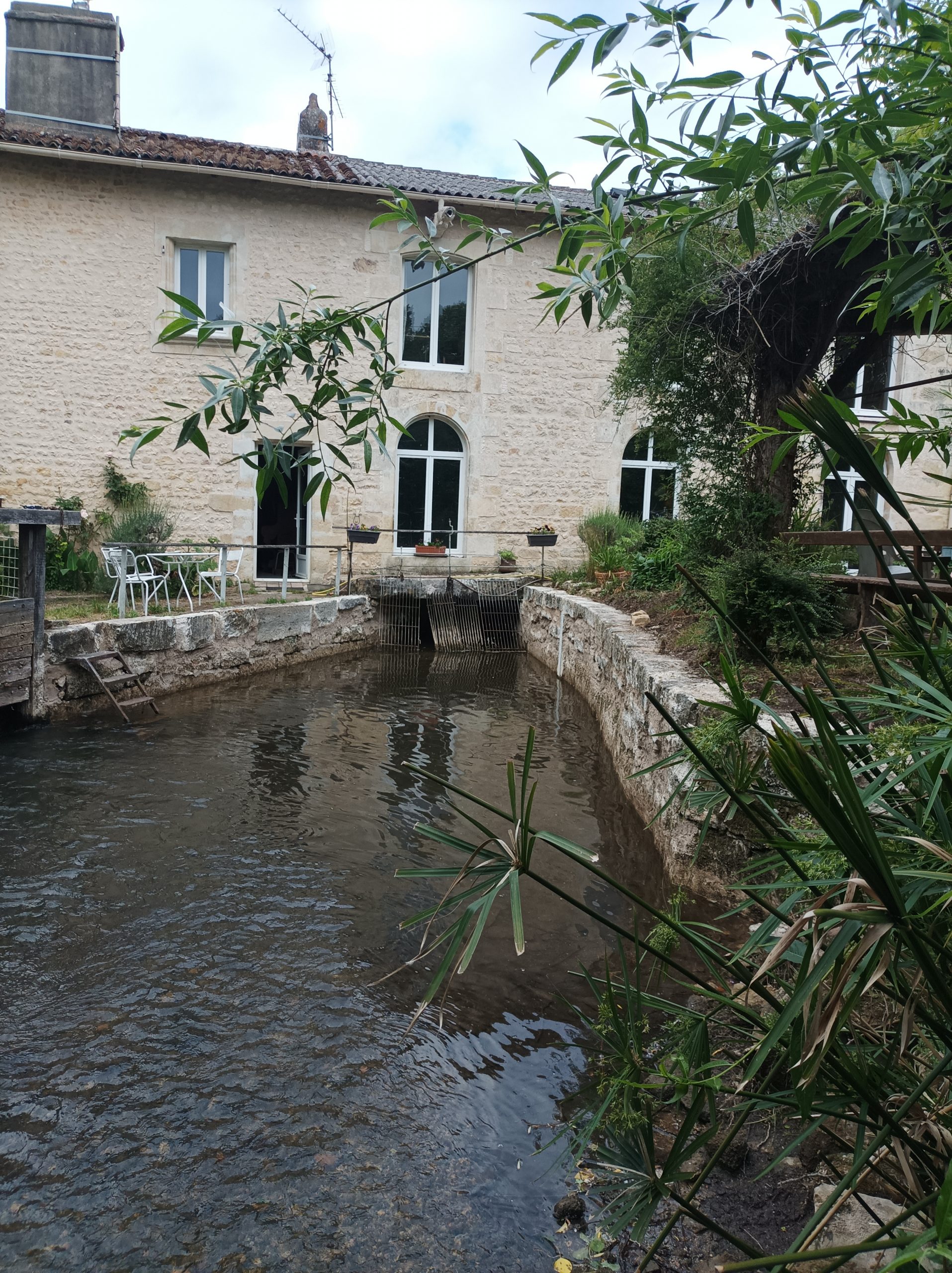 trashed-1761309532-IMG_20250528_184124